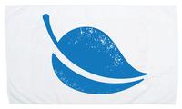 Small Beach Towel