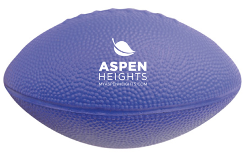 10" Foam Football