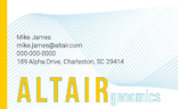 Altair Business Card