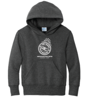 Youth Time Travel Camp Hoodie